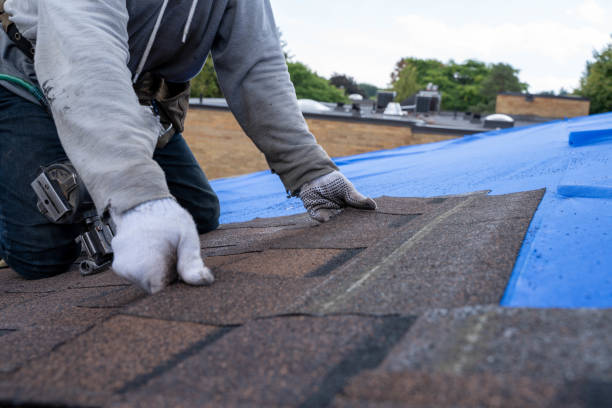 Best Storm Damage Roof Repair  in Dothan, AL